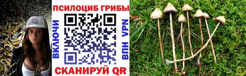 Псилоцибиновые грибы прущие грибы гидра рабочий сайт Новоульяновск