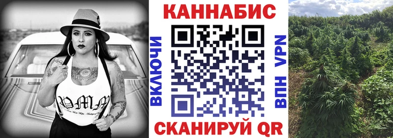 Бошки Шишки семена  Новоульяновск 